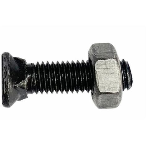 Bullone testa ovale M10x70 con dado