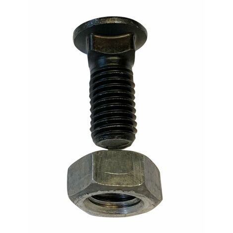 Bullone tspqst 120° M14x30 con dado sx