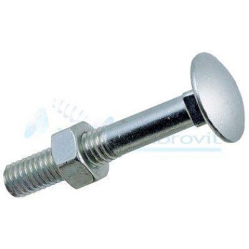 Ambrovit - Cavicchie acciaio testa tonda con dado