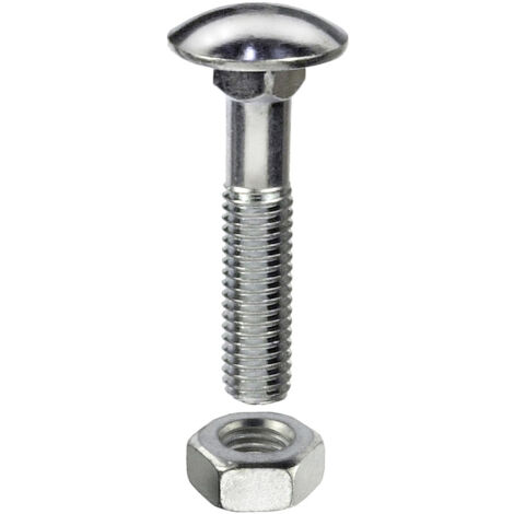 BULL.TTQST ZIN.B DIN603 M8X50 PZ40