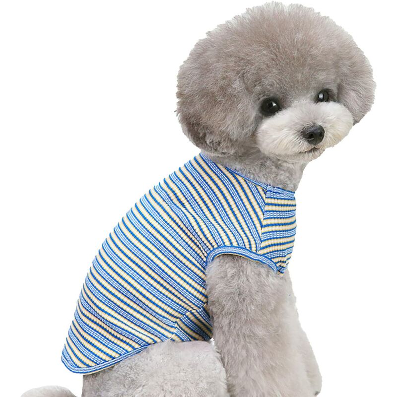 Bunt gestreiftes Hunde-T-Shirt Atmungsaktive Haustierweste Ärmellos Blaues Hunde-Sommer-T-Shirt (Blau)