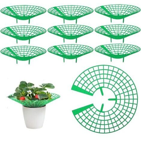 BUNTHAUS 10 pièces Supports pour Fraisier, Supports pour Plantes Fraises Protection de Fraises de Jardin Supports de Culture de Fraises Tour Fraises Filets de Fraises pour Plantes, Légume, Fleur