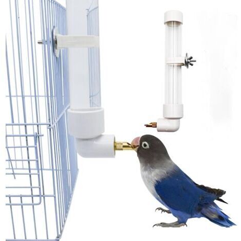 BUNTHAUS 210 ml Distributeur d'eau automatique pour perroquet, accessoires pour cage à oiseaux, abreuvoir à oiseaux, fontaine pour perroquet, perruche, calopsitte