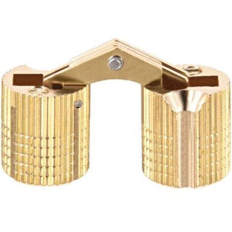 BUNTHAUS 2pcs Charnière Cylindrique Charnière Invisible Porte Placard Armoire 12mm angle ouvrir 180°