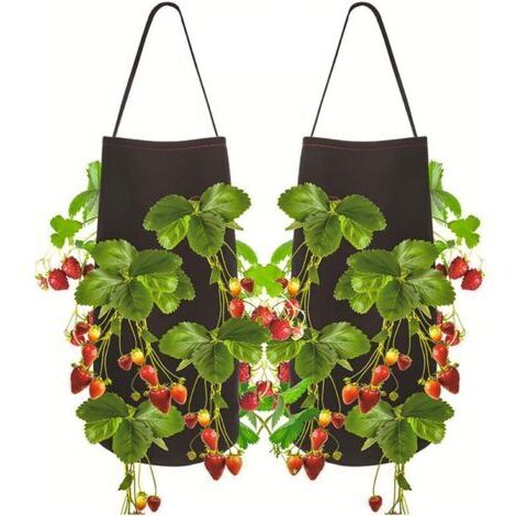 BUNTHAUS 2pcs Sac de Plantation pour Fraise, Sac de Plantation de Pomme de Terre , Sac Potager avec la Fenêtre et la Poignée pour des Fraises, des Tomates, des Légumes