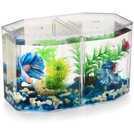 BUNTHAUS Aquarium de Bureau de Miniature: Petit Aquarium Betta avec Cloison Amovible pour Betta, Poisson Rouge - pour Enfants Débutants