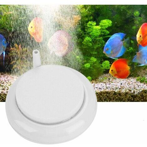 BUNTHAUS Aquarium Nano Pierre de Pierre Durable Pierre Air Disque à Bulles Nano échelle Diffuseur Rond Réservoir d'oxygène Bubblerfor Aquarium Fish Tank Étangs et Culture hydroponique