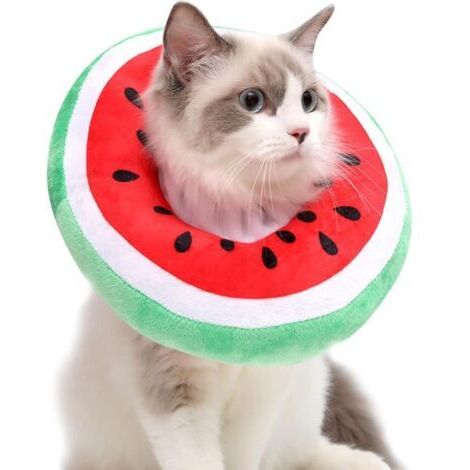 BUNTHAUS Collier de récupération pour chats  Collier de récupération pour chats  Collier de protection pour chats  Mignon élisabéthain, collier de protection pour petits chiens