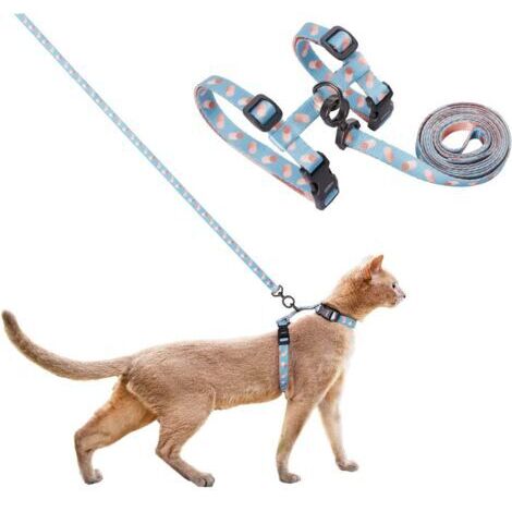 BUNTHAUS Ensemble de laisse pour chat, sangle en H pour chat, corde de marche pour chat
