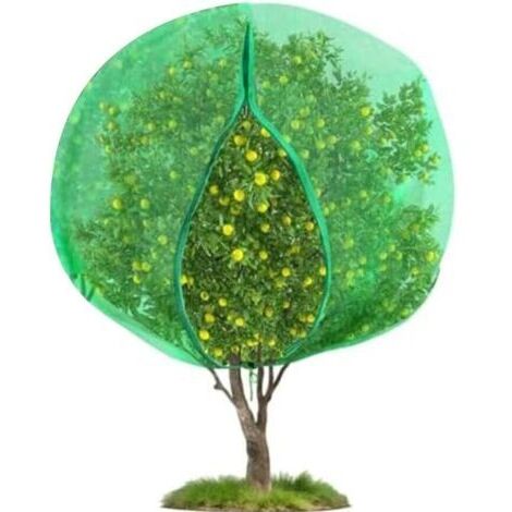 BUNTHAUS Filet de Protection pour Arbres Fruitiers 1,8mx1,8m  Anti Insectes, Anti Oiseaux, Sac de Protection de Fruit  Maille Fine avec Fermeture Éclair et Cordon de Serrage  pour Jardin et Verger
