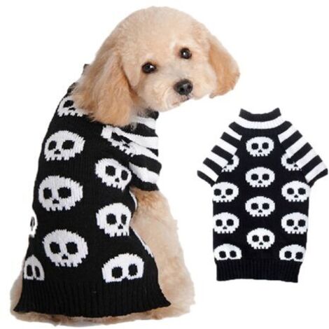 BUNTHAUS Halloween Citrouille Chien Pull Pet Costume Mode Vacances Fête Chiot Cadeaux pour Chiens et Chats（Crâne noir et blanc S）