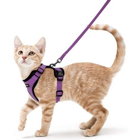 BUNTHAUS Harnais Chat Petit Chien Laisse Harnais Chaton Réglable Violet XS Collier Harnai Chat Refléchissant Gilet Respirant pour Lapin, Chat Européen, Maine Coon, Persan, Attache Dessus avec Laisse-E