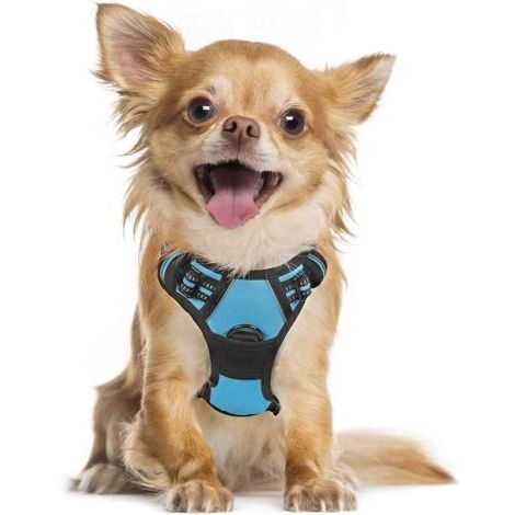 BUNTHAUS Harnais Chien S Arnais Bleu Clair Anti Traction Réfléchissant Gilet Réglable pour Chien, Attache Devant Crochet de Laisse pour Randonné Trajet Voiture, Bouledogue Français, Berger Australien-
