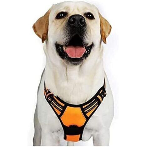 BUNTHAUS Harnais Chien XL Arnais Orange Anti Traction Réfléchissant Gilet Réglable pour Chien Grand Taille, Attache Devant Crochet de Laisse pour Trajet Voiture, American Staff, Border Collier-Ensolei