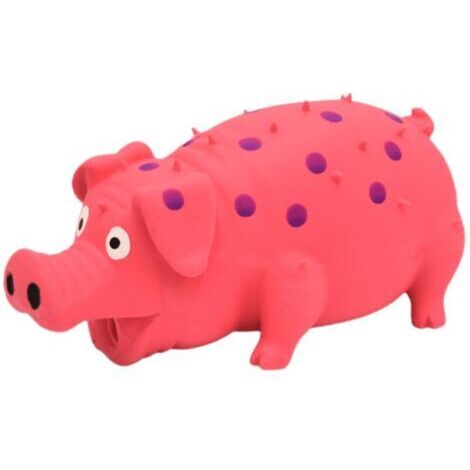 BUNTHAUS Jouets à mâcher pour chien - Jouets sonores de dentition rebondissants pour animaux domestiques Jouets interactifs de morsure de cochon pour nettoyer les dents de chiot