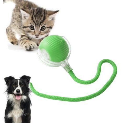 BUNTHAUS Jouets interactifs pour chats, jouets électriques pour chats avec fonction de réveil, adaptés aux chiens et chats de petite et moyenne taille