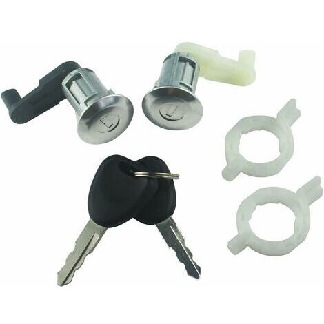 BUNTHAUS Kit cylindre de serrure de porte en alliage de zinc 7701468981 pour Re-naul Megane Scenic Clio Thalia 7701468982 (2 cylindres + 2 clés)
