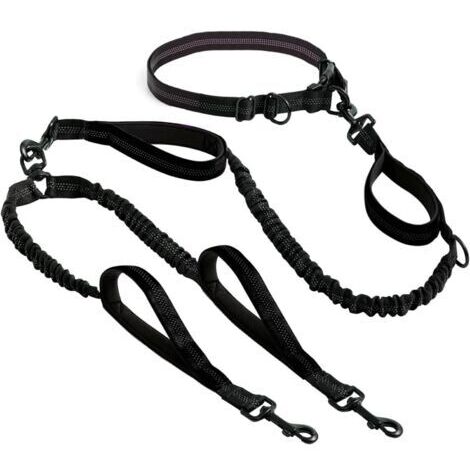 BUNTHAUS Laisse mains libre pour 2 chiens grande et moyenne taille  laisse anti traction avec coutures réfléchissantes pour chien  accessoire chien pour le jogging, la marche à pied, la randonnée, l’e