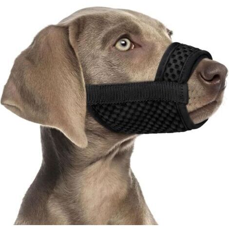BUNTHAUS Muselière pour Chiens Muselière Souple Réglable Respirantes Empêchent Prévient L'aboiement, D'ingérer des débris et Mordre Un étranger
