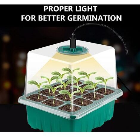 BUNTHAUS Nouveau 5 pièces kit Mini Serre pour Plantes, avec lumière Solaire à Spectre Complet, boîte de Culture pour Serre d'intérieur avec Couvercle et évents