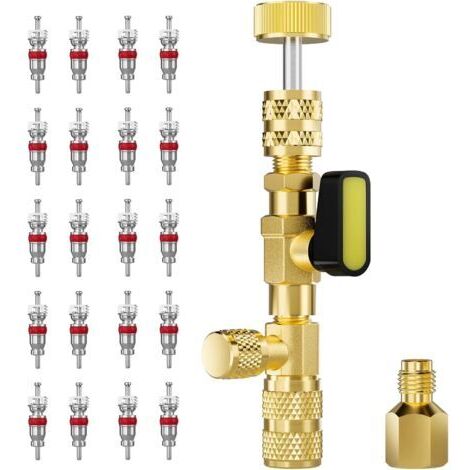 BUNTHAUS Outil d'installation et de démontage de noyau de valve avec adaptateur en laiton à double port, outil de valve pour systèmes de réfrigération avec 20 noyaux de valve