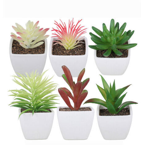 BUNTHAUS Pot carré en plastique pour plantes succulentes, ensemble de 6 pièces, Simulation de décoration de maison, ensemble de bonsaï pour plantes succulentes