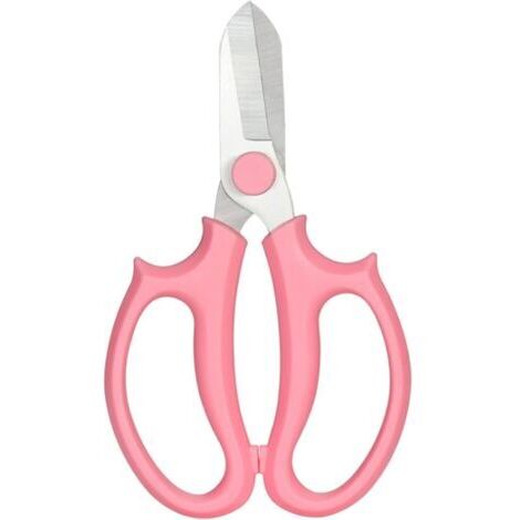BUNTHAUS Sécateur floral en acier de qualité supérieure pour jardin, fruits, feuilles, outil de coupe pour jardinage (rose)