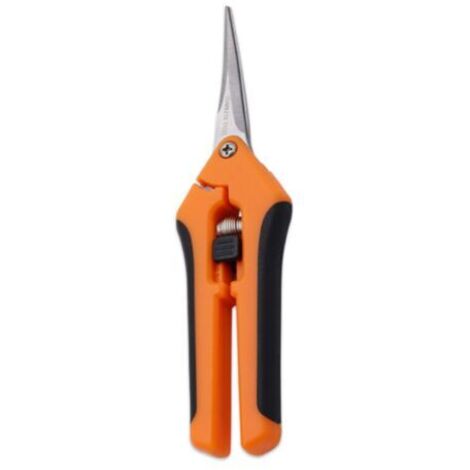 BUNTHAUS Sécateur Outils Sécateur inox (porte-cartes courbés)