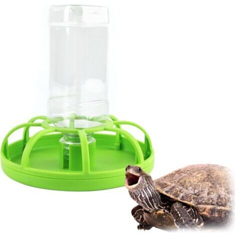 BUNTHAUS Vert Abreuvoir pour Reptiles, Abreuvoir Tortue, Accessoire Tortue Terrestre, Fontaines à Boire en Plastique pour Amphibiens, Mangeoire Amovible avec Bouteille d'eau