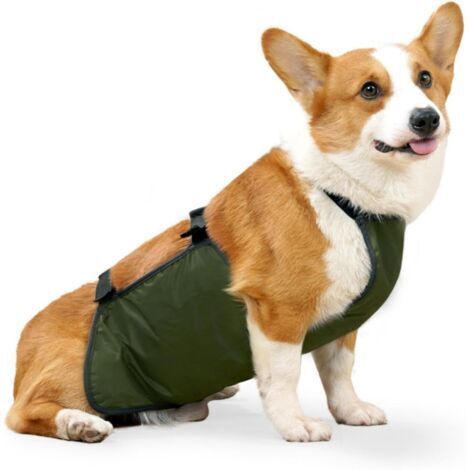 BUNTHAUS Vêtements imperméables pour Animaux de Compagnie, Veste de Pluie pour Chien, Couverture Ventrale, imperméable Corgi, Bande Ventrale pour Chien,M