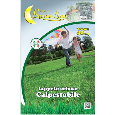 BUONA LUNA Semi prato kg 1 prato calpestabile
