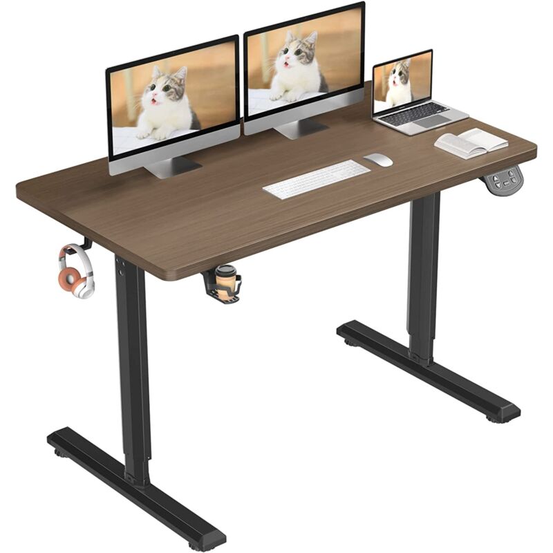 Neche - Bureau Assis Debout Electrique 110x60x71-117cm,Bureau Ergonomique Standing Desk Réglable,Panneau en Fibre de Carbone