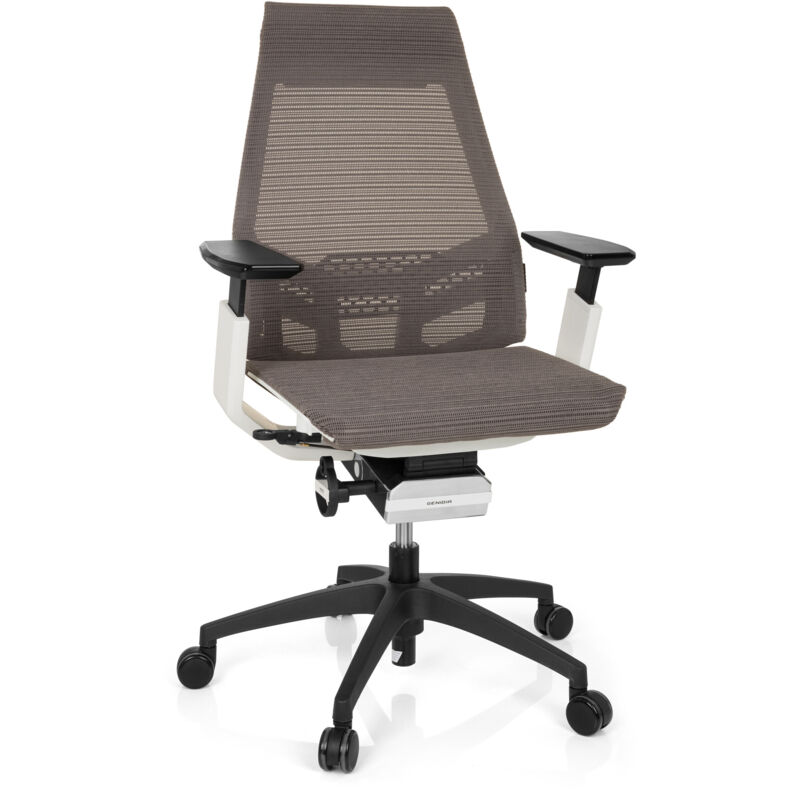 Bürostuhl / Drehstuhl Genidia Smart White Netz Grau Hjh Office
