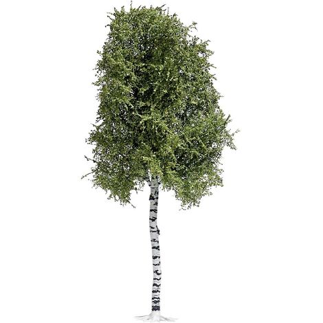Busch 3782 Arbre bouleau 170 mm 1 pc(s)