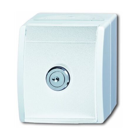 BUSCH-J. SCHUKO-STECKDOSE 20 EWSL-101-54 2CKA002083A0833