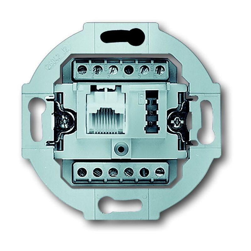 

UAE 8(6) TAE 6 F+N - INTERRUPTOR - Busch-jaeger