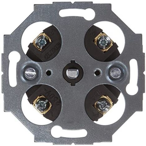 Busch-Jaeger 1070U, Modulo timer a 2 poli, da esterni, per scale 1070 U
