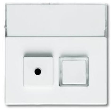 Busch-Jaeger 1572 CN-84  Zentralscheibe 2-fach, mit Beschriftungsfeld