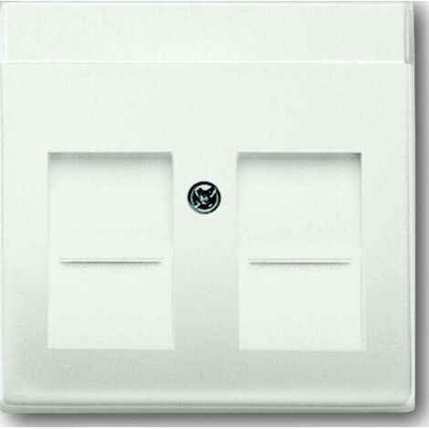 BUSCH-JAEGER 1710-0-3887 PLAQUE DE COMMUTATION ET OBTURATEUR