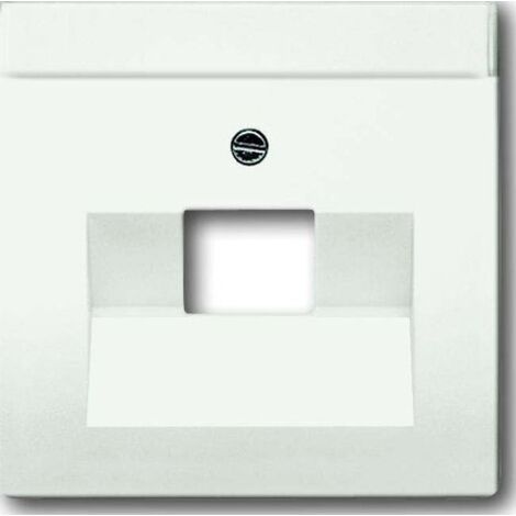 BUSCH-JAEGER 1710-0-3889 PLAQUE DE COMMUTATION ET OBTURATEUR