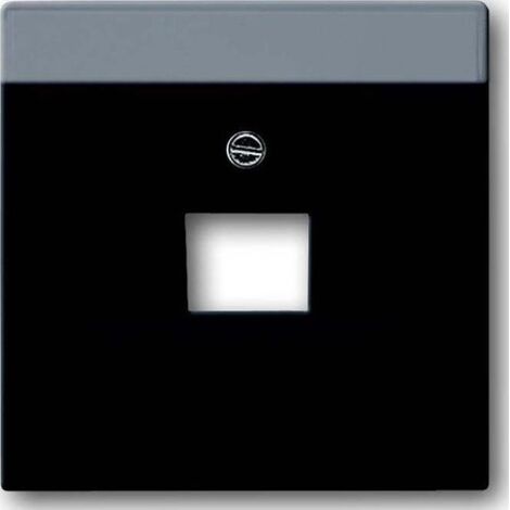 BUSCH-JAEGER 1710-0-3912 PLAQUE DE COMMUTATION ET OBTURATEUR