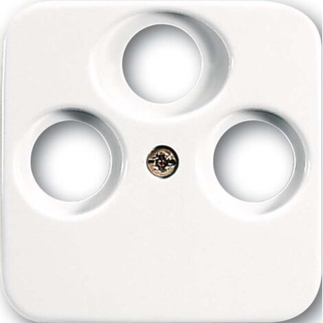 BUSCH-JAEGER 1724-0-1754 PLACA DE INTERRUPTOR Y OBTURADOR