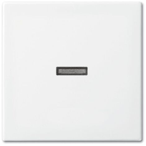 BUSCH-JAEGER 1731-0-2009 PIASTRA INTERRUTTORE E OTTURATORE
