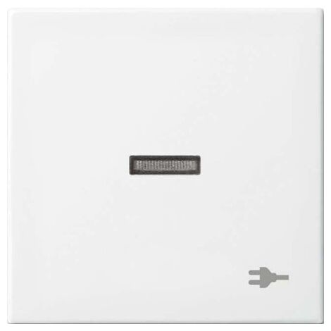 BUSCH-JAEGER 1731-0-2018 PLAQUE DE COMMUTATION ET OBTURATEUR