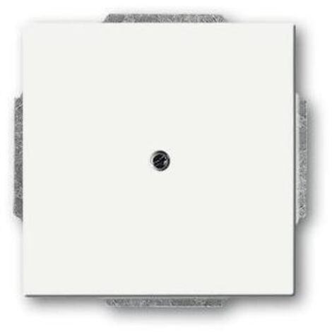 Busch-Jaeger 1742-884  Blindzentralscheibe mit Tragring