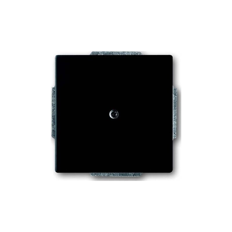 Busch-Jaeger 1742-885 Fausse Plaque Centrale, Noir Mat, Future 1710-0-3895