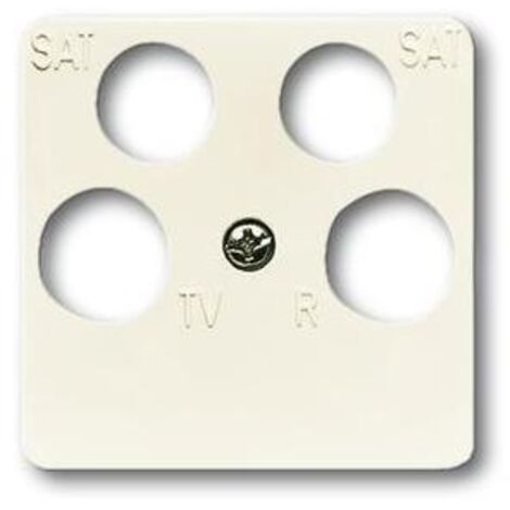Busch-Jaeger 1743/10-04-212  Zentralscheibe 50 x 50 mm