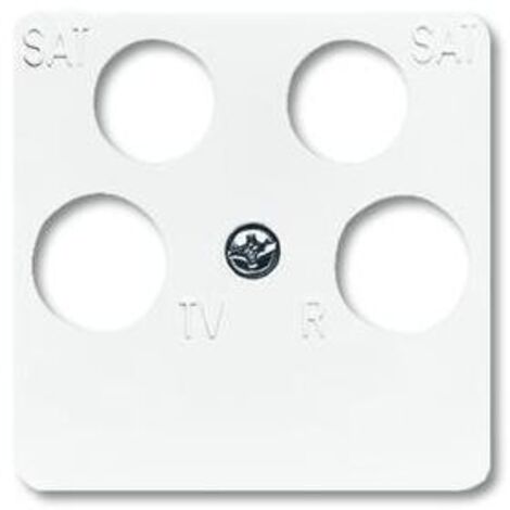 Busch-Jaeger 1743/10-04-214 Zentralscheibe 50 x 50 mm