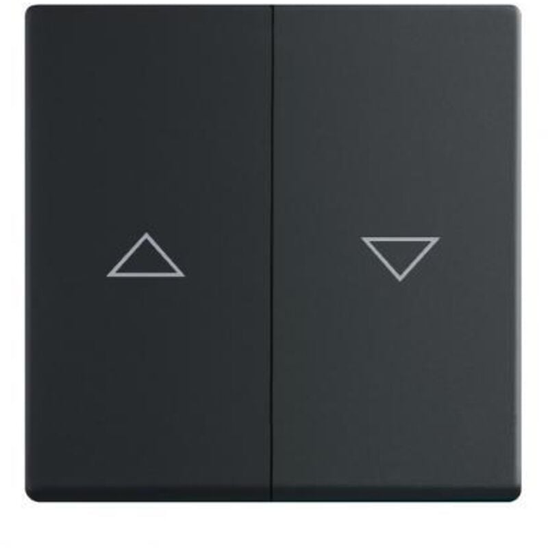 1785JA-885 plaque de recouvrement, interrupteur bouton-poussoir de jalousie, noir mat, future - Busch-jaeger