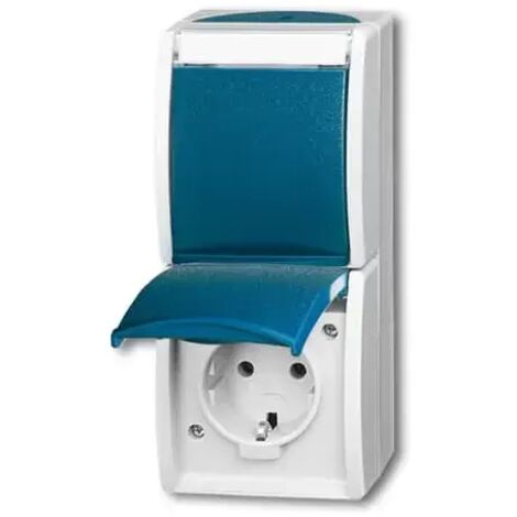 Busch-Jaeger 20-02 EWN-53  SCHUKO® Steckdose 2-fach